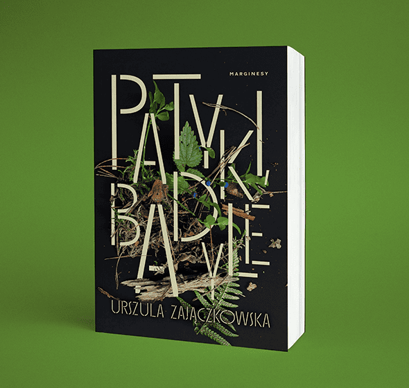 Okładka książki "Patyki, badyle" Urszula Zajączkowska