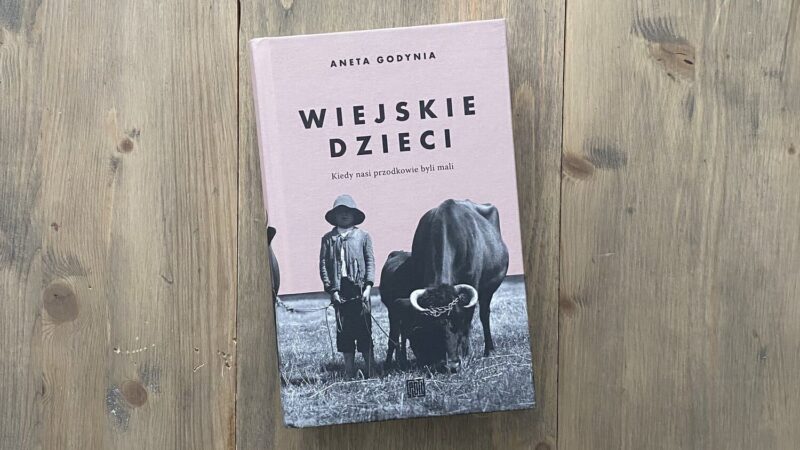 Ogłoszono nominacje do Nagrody Literackiej Nike 2026: Trzydziesta edycja z silną reprezentacją prozy i reportażu